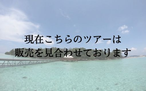 ジャカルタから1時間30分！プラウスリブにあるプトゥリ島ツアー