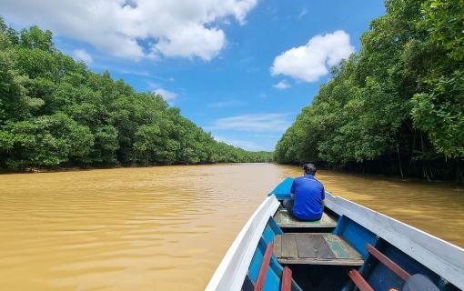 【バリクパパン発】マングローブと水上村観光ツアー 4