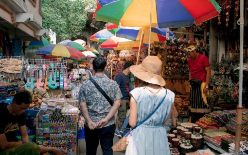 バリズー(Bali Zoo)にてエレファントライド＆ウブド自由散策 9