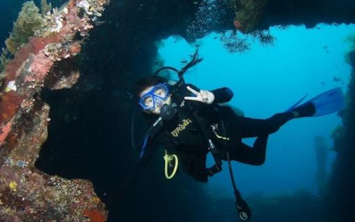 バリ島で体験ダイビング
