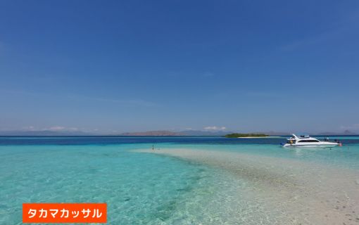 【混載ツアー】日本語ガイド付き ラブアンバジョ発日帰り コモドツアー 9