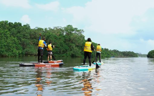 バリ島のマングローブで気軽に半日SUPツアー 4