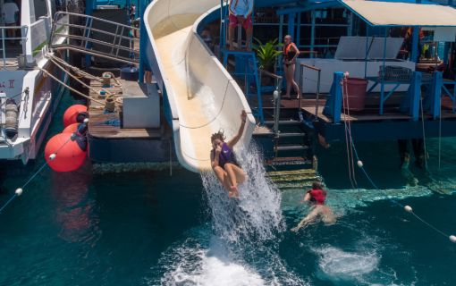 バリハイ　リーフクルーズ 4