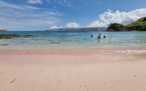 【バリ島発】日帰りコモド島ツアー 8