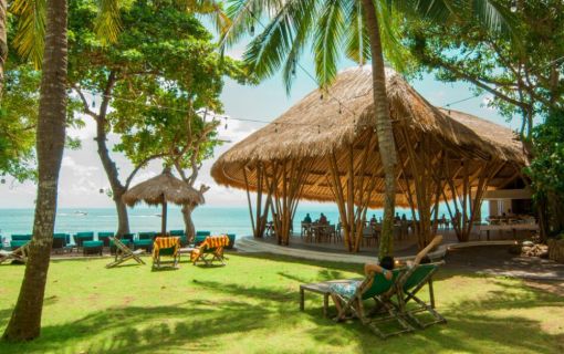 バリハイ　アリストキャット 11