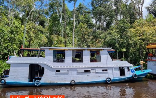 【ジャカルタ発】リバークルーズでオランウータンに会いに行こう＜タンジュンプティン国立公園＞  9