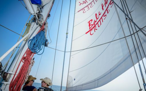 バリハイ　アリストキャット 2