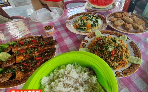 【ジャカルタ発】リバークルーズでオランウータンに会いに行こう＜タンジュンプティン国立公園＞  24