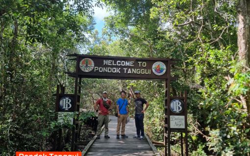 【ジャカルタ発】リバークルーズでオランウータンに会いに行こう＜タンジュンプティン国立公園＞  16