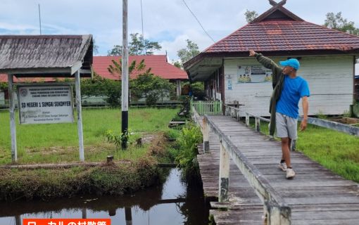 【ジャカルタ発】リバークルーズでオランウータンに会いに行こう＜タンジュンプティン国立公園＞  20