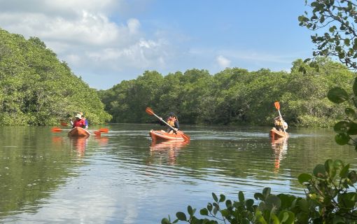 バリ島でカヤック&マングローブツアー 3