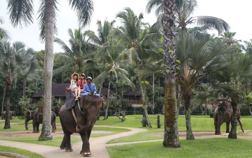 バリ島でエレファントサファリ 4