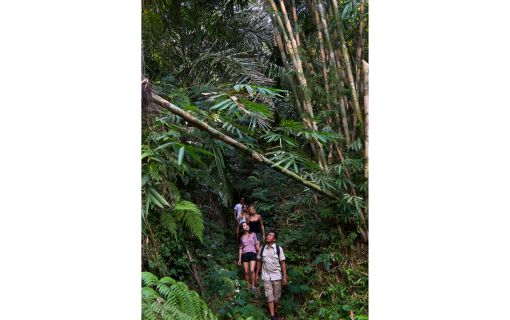 バリ島でトロピカルトレッキング! 3