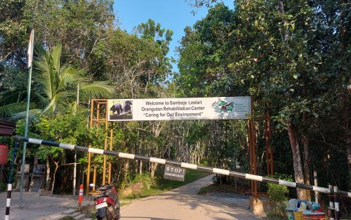 【ジャカルタ発】バリクパパン1泊2日観光ツアー｜オランウータンに会いに行こう!＜サンボジャ・レスタリ＞ 2