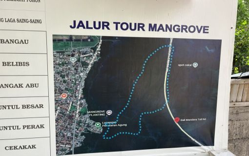 バリ島のマングローブで気軽に半日SUPツアー 12