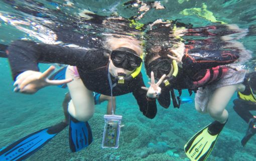 レンボンガン島DEマングローブ＆シュノーケリング 5