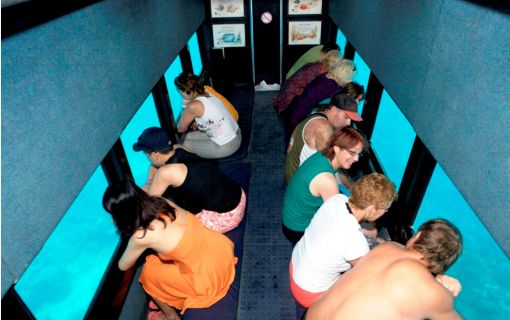 バリハイ　アリストキャット 7