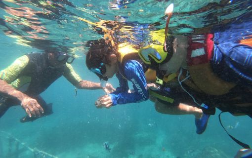 バリ島でシュノーケリング＆マングローブツアー 4