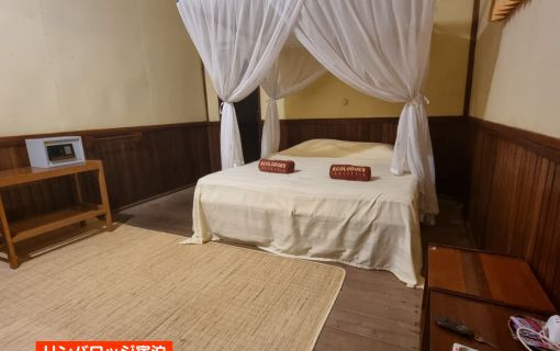 【ジャカルタ発】リバークルーズでオランウータンに会いに行こう＜タンジュンプティン国立公園＞  23