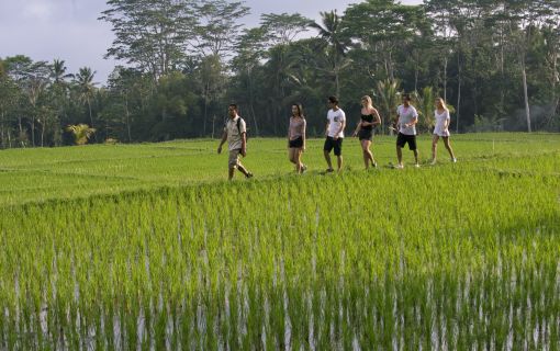 バリ島でトロピカルトレッキング! 2