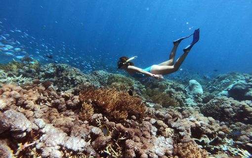 レンボンガン島DEマングローブ＆シュノーケリング 6