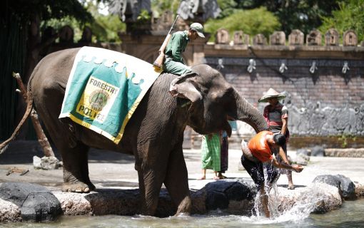 バリサファリ＆マリンパーク 4