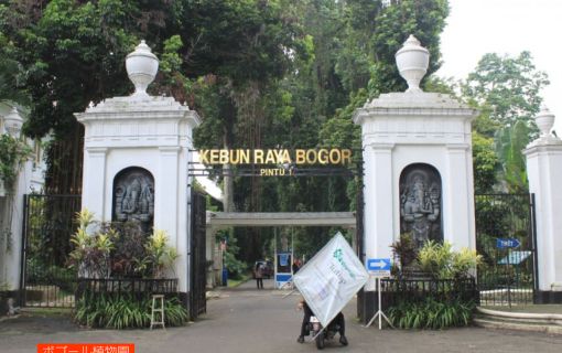 ジャカルタ市内&ボゴール観光 6