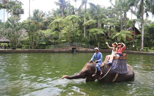 バリ島でエレファントサファリ 5