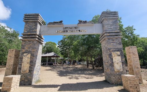 【バリ島発】日帰りコモド島ツアー 2