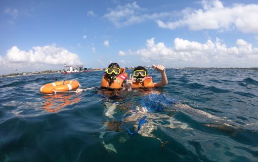 バリ島でシュノーケリング＆マングローブツアー 5