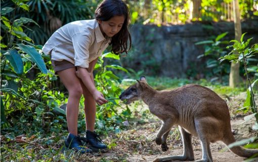気軽に動物たちと楽しめるバリ動物園(バリズー)ツアー 7