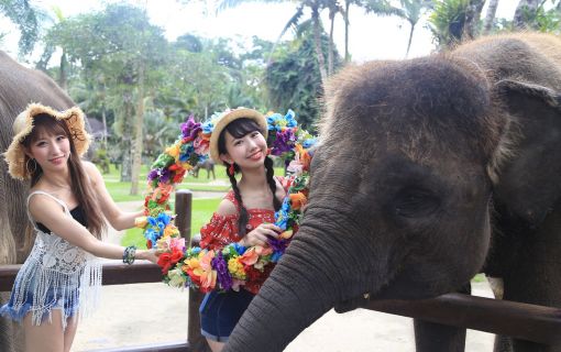 ラフティング&エレファントサファリ 6