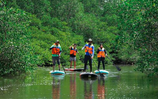 バリ島のマングローブで気軽に半日SUPツアー 1