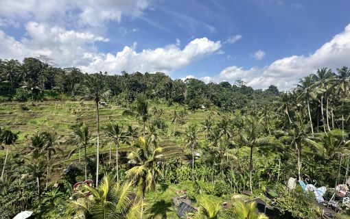 ベーシックプラン(まるごとウブド) 