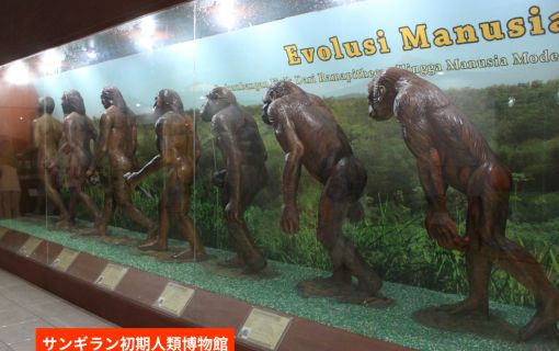 【ジョグジャカルタ発】人類の起源と古代寺院を巡る！サンギラン遺跡＆スクー寺院・チュト寺院1日ツアー 3