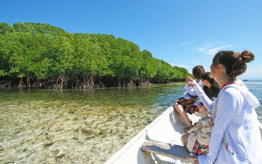 レンボンガン島DEマングローブ＆シュノーケリング 2