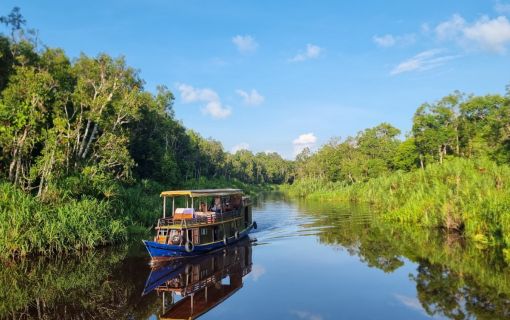 【ジャカルタ発】リバークルーズでオランウータンに会いに行こう＜タンジュンプティン国立公園＞  8