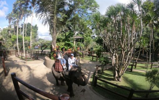 バリ島でエレファントサファリ 9