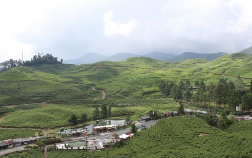 ボゴール1日観光 8