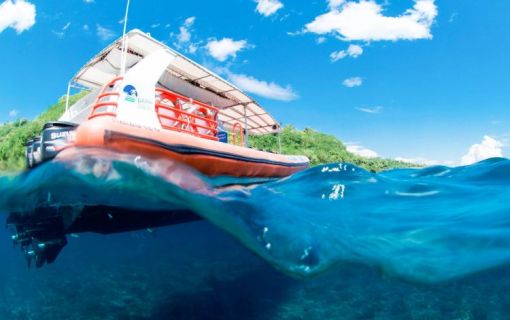 【バリハイ】ペニダ島アドベンチャークルーズ 2