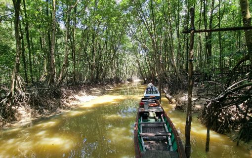 【ジャカルタ発】バリクパパン1泊2日観光ツアー｜オランウータンに会いに行こう!＜サンボジャ・レスタリ＞ 12