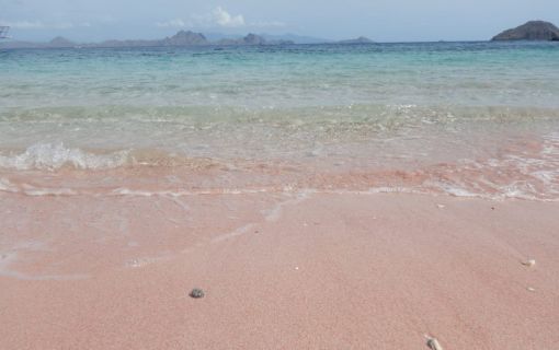 【ジャカルタ発】世界自然遺産!コモド島・コモドドラゴン&ピンクビーチ 2泊3日 5
