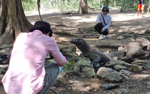 【バリ島発】日帰りコモド島ツアー 3
