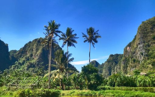 【ジャカルタ発】 秘境・タナトラジャ(スラウェシ島)2泊3日ツアー  9