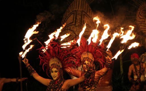 ナイトサファリ　（バリサファリマリン＆パーク） 5