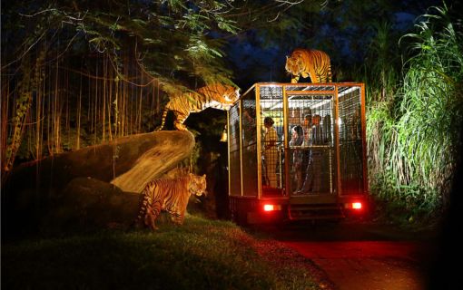 ナイトサファリ　（バリサファリマリン＆パーク） 2