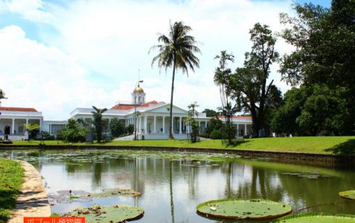 ジャカルタ市内&ボゴール観光 7