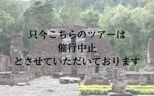 【ジャカルタ発】インドネシアの3大世界遺産ボロブドゥール遺跡、プランバナン遺跡、サンギラン初期人類遺跡を巡る2泊3日ツアー