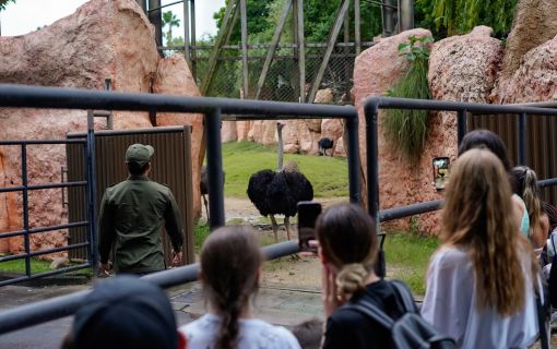 ビハインド・クローズド・ドアーズ (バリ動物園 バリズー)