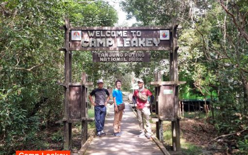 【ジャカルタ発】リバークルーズでオランウータンに会いに行こう＜タンジュンプティン国立公園＞  18